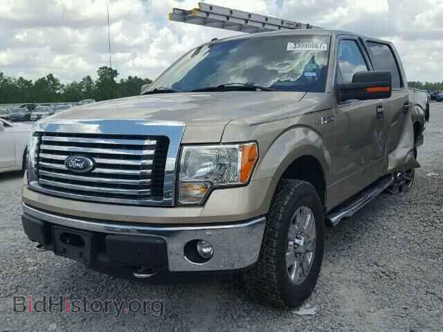 2011 FORD F150 - VIN: 1FTFW1EF7BFC38603 - Фото 2