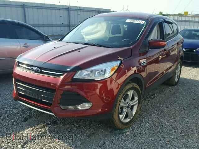 2014 FORD ESCAPE - VIN: 1FMCU0GX1EUC99370 - Фото 2