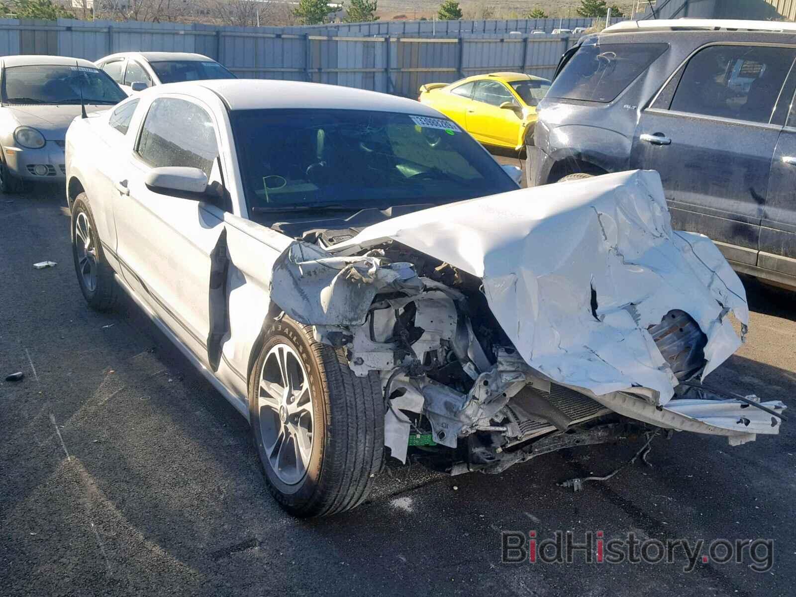 Photo 1ZVBP8AM1E5304594 - FORD MUSTANG 2014