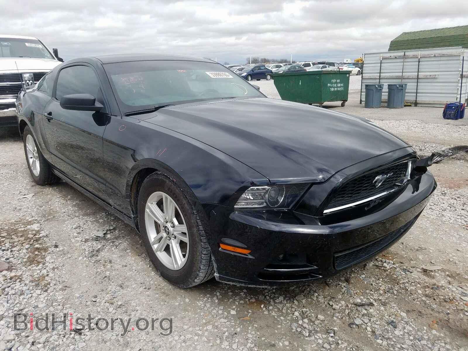 Photo 1ZVBP8AM3E5240784 - FORD MUSTANG 2014