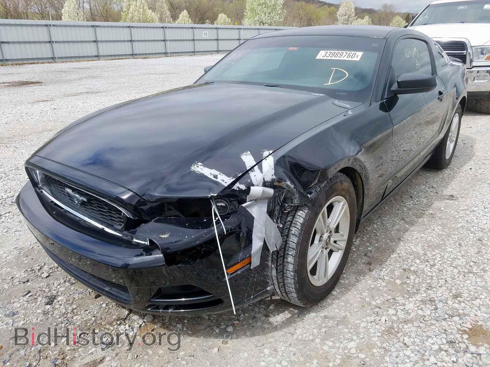 2014 FORD MUSTANG - VIN: 1ZVBP8AM3E5240784 - Фото 2