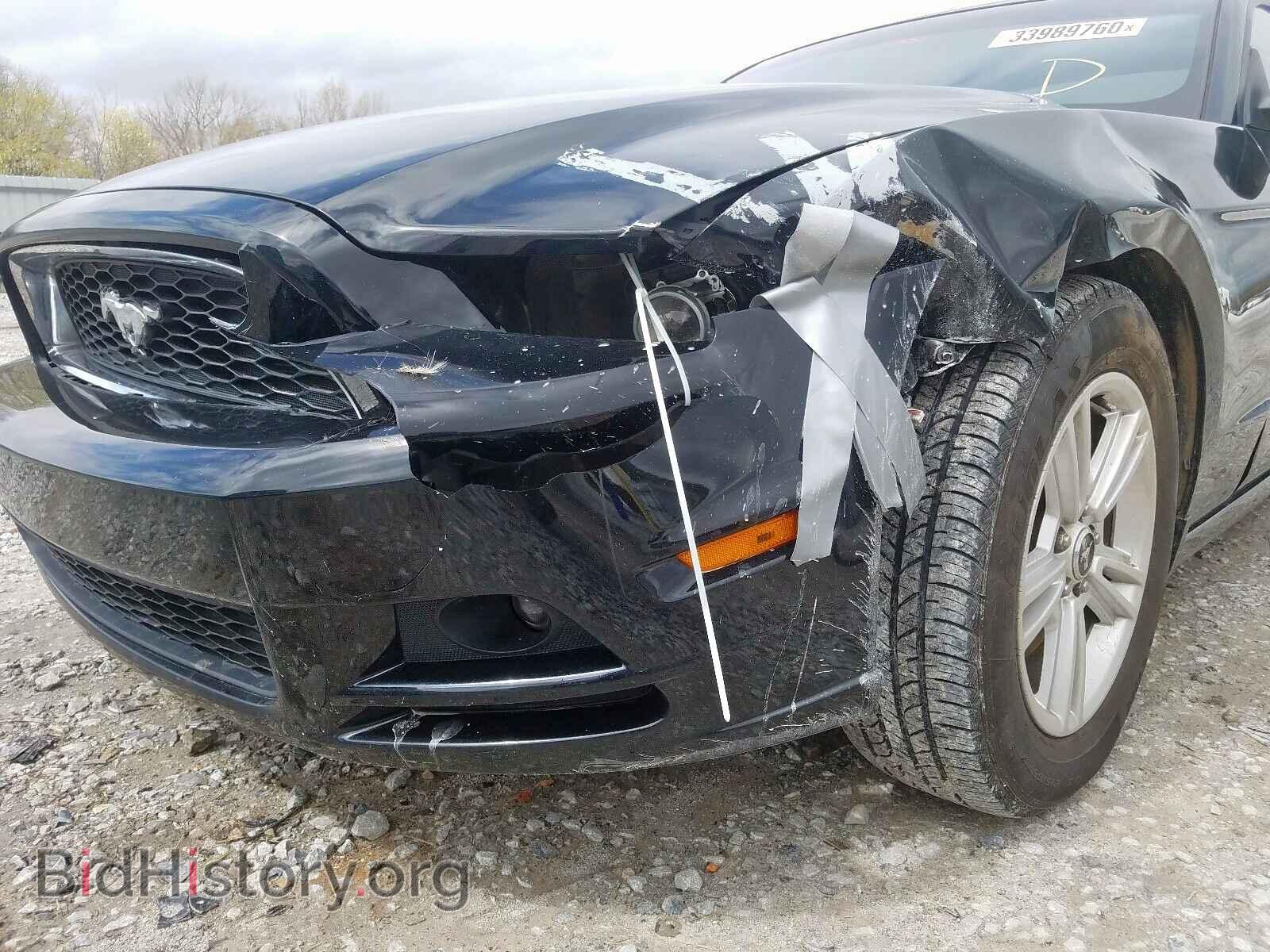 2014 FORD MUSTANG - VIN: 1ZVBP8AM3E5240784 - Фото 9
