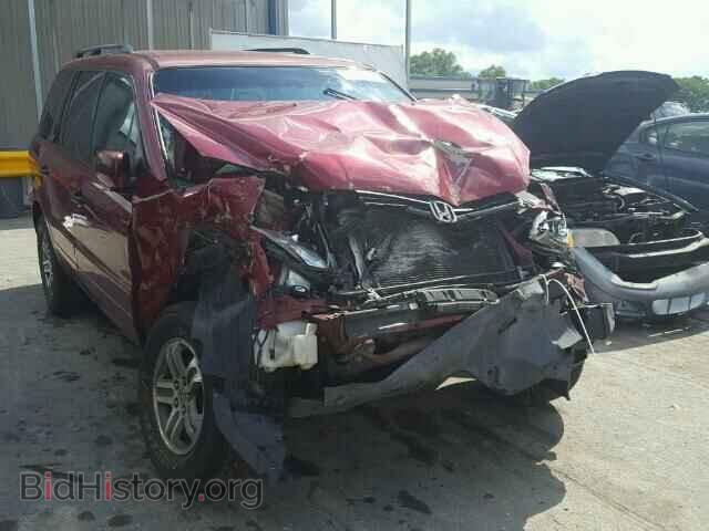 Фотография 5FNYF18445B000686 - HONDA PILOT 2005