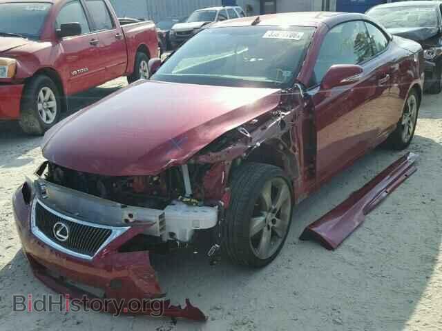 2010 LEXUS IS250 - VIN: JTHFF2C21A2505941 - Фото 2