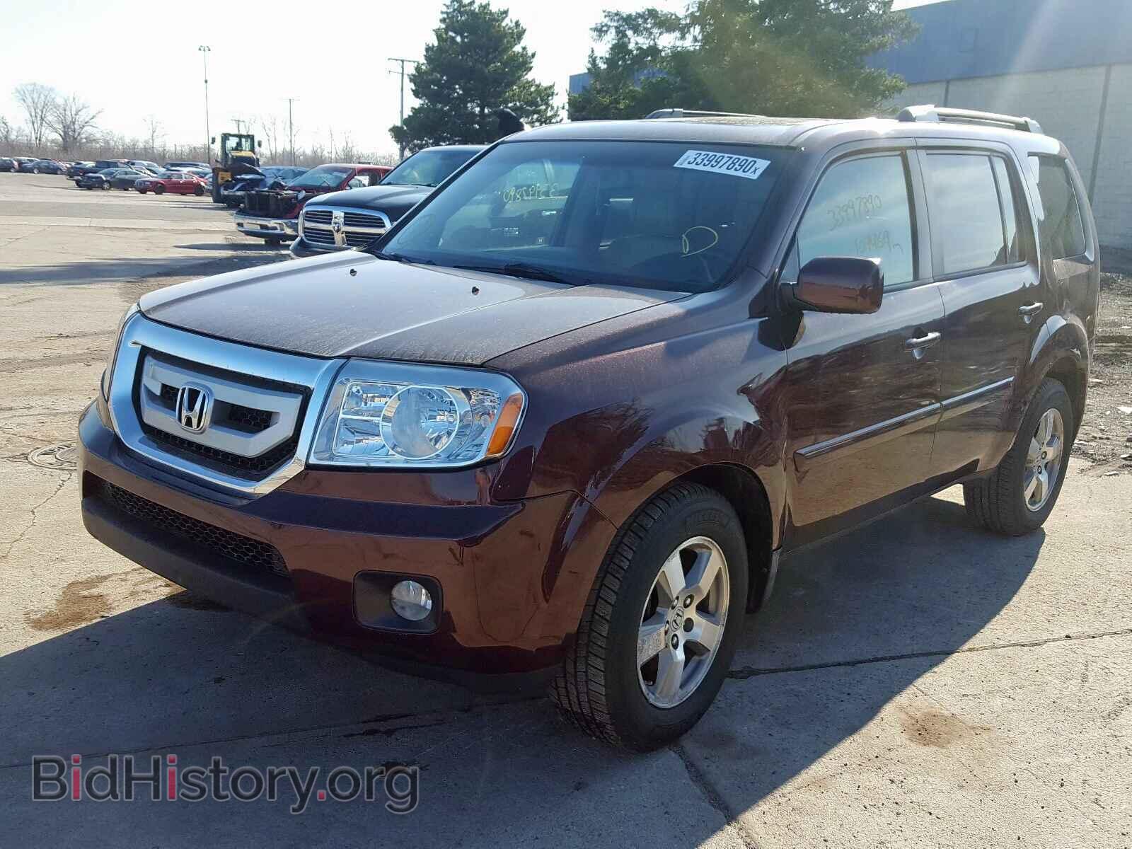 2009 HONDA PILOT - VIN: 5FNYF48529B007331 - Фото 2