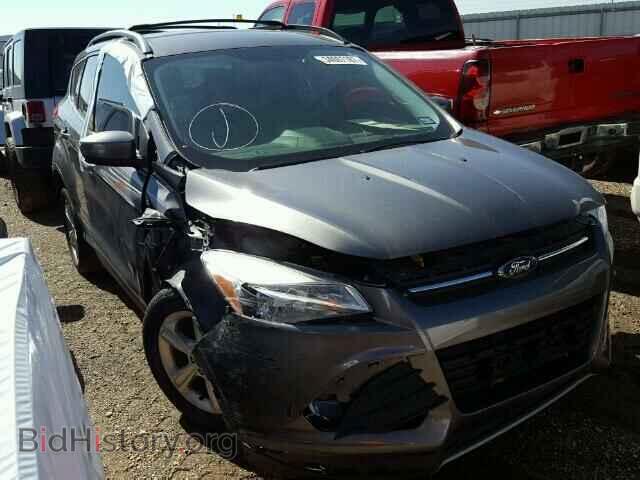 Photo 1FMCU0GX7EUA13148 - FORD ESCAPE 2014