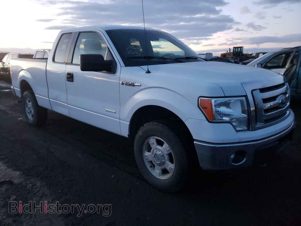 Photo 1FTFX1ET5CFB44241 - FORD F-150 2012