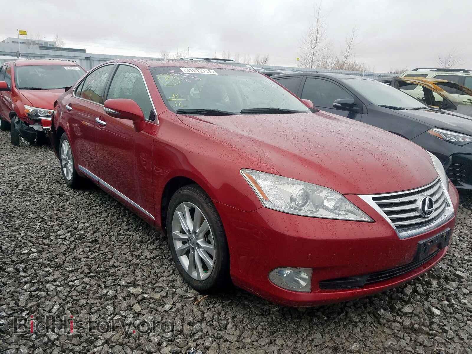Фотография JTHBK1EG2A2368246 - LEXUS ES350 2010
