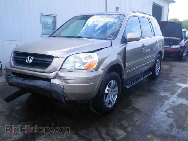 2005 HONDA PILOT - VIN: 5FNYF18645B048805 - Фото 2