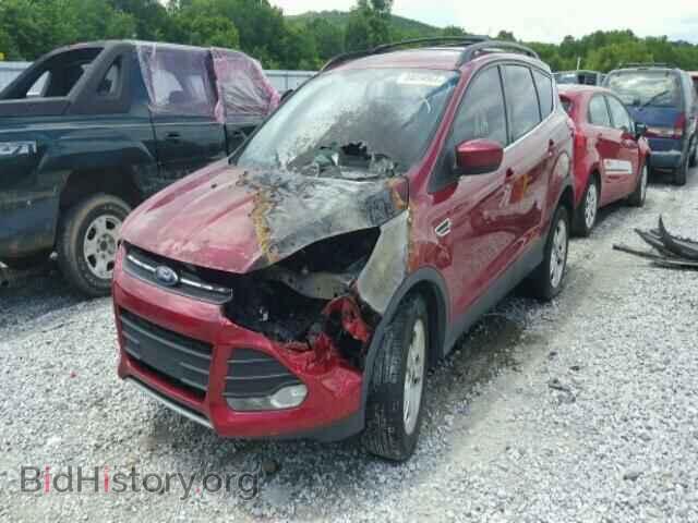 2013 FORD ESCAPE - VIN: 1FMCU9G92DUC95574 - Фото 2