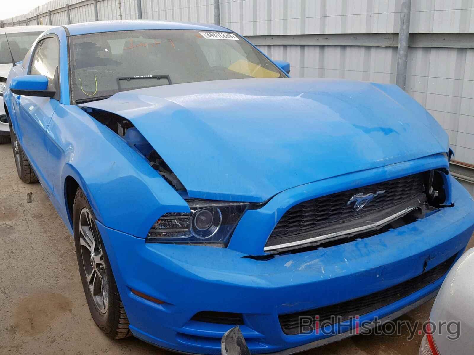 Photo 1ZVBP8AM4D5264915 - FORD MUSTANG 2013