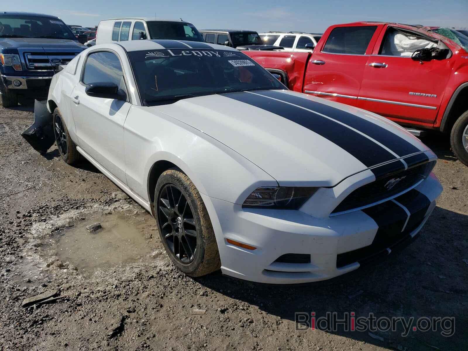 Photo 1ZVBP8AM3E5330209 - FORD MUSTANG 2014