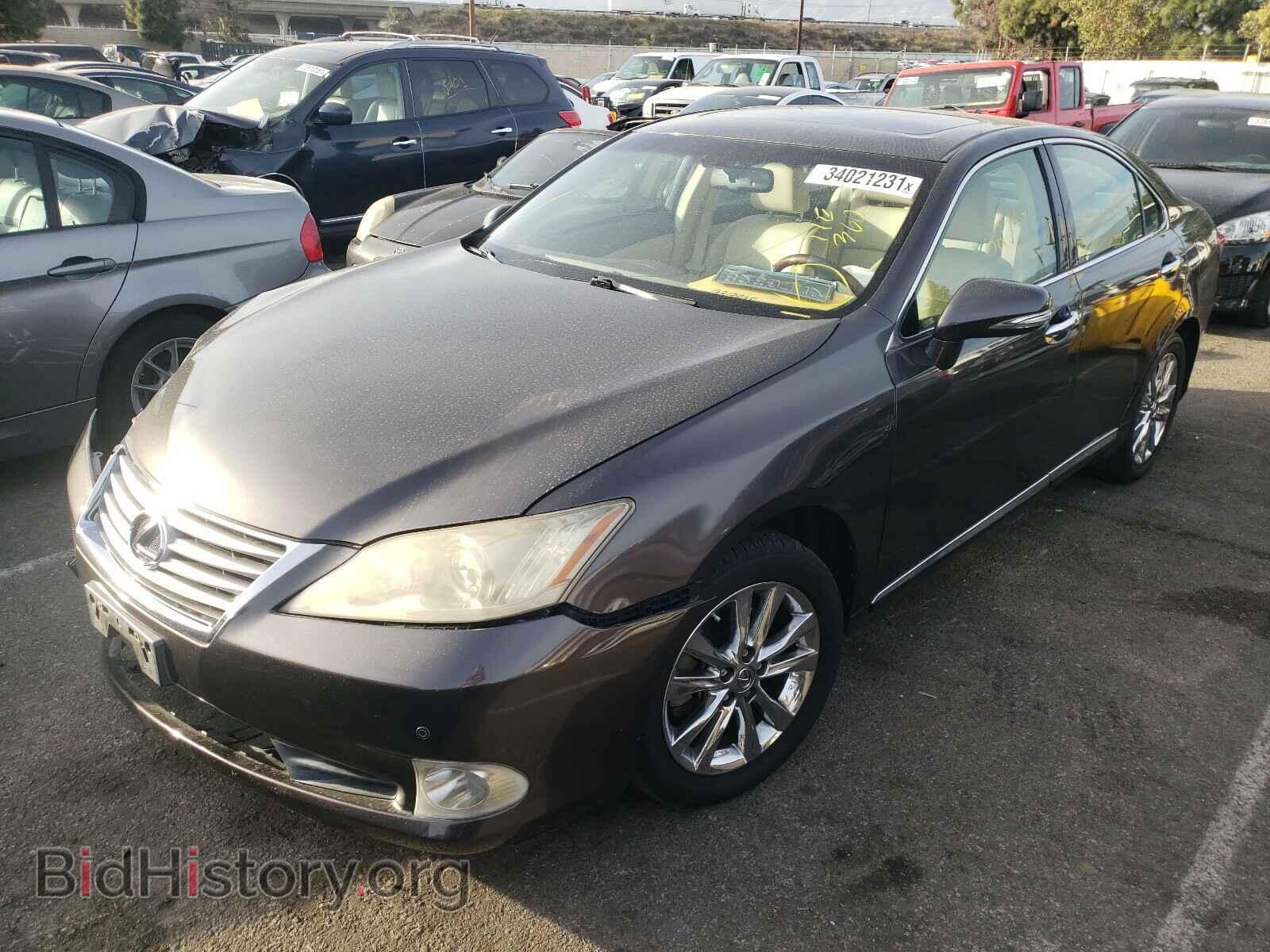 2011 LEXUS ES350 - VIN: JTHBK1EG5B2416954 - Фото 2