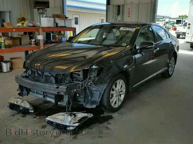 2010 LEXUS ES350 - VIN: JTHBK1EG1A2351485 - Фото 2