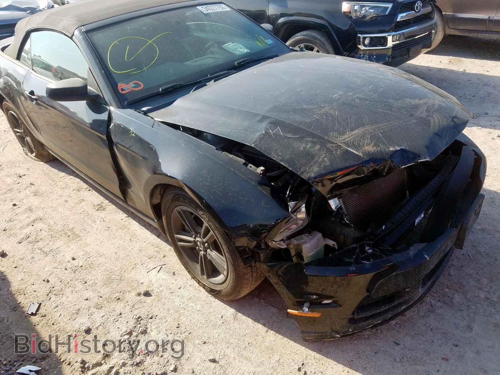 Photo 1ZVBP8EM3E5243033 - FORD MUSTANG 2014