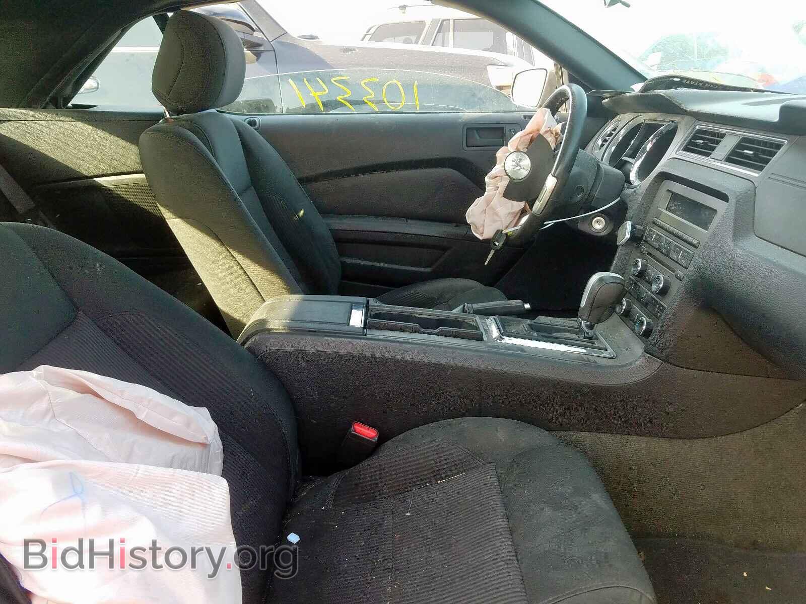 2014 FORD MUSTANG - VIN: 1ZVBP8EM3E5243033 - Фото 5
