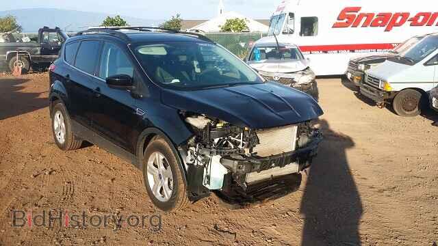 Фотография 1FMCU0GX1DUC16292 - FORD ESCAPE 2013