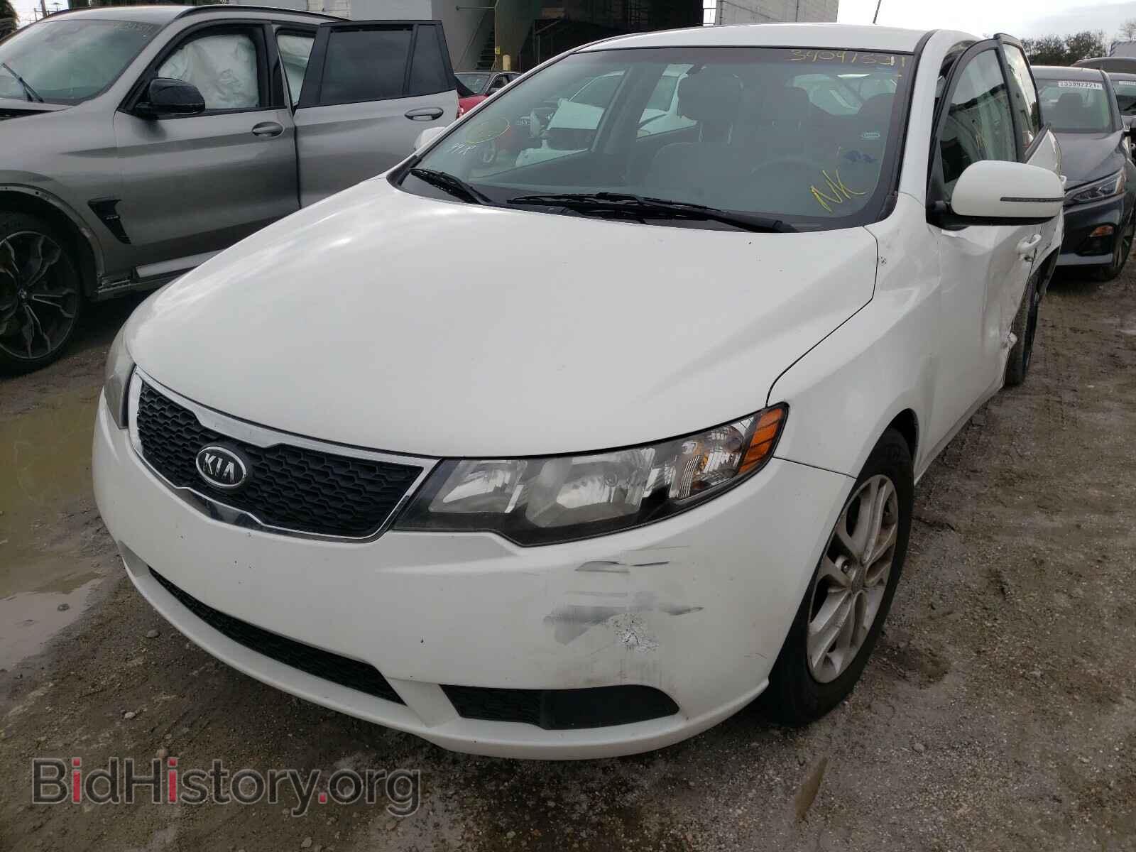 2012 KIA FORTE - VIN: KNAFU5A24C5569224 - Фото 2