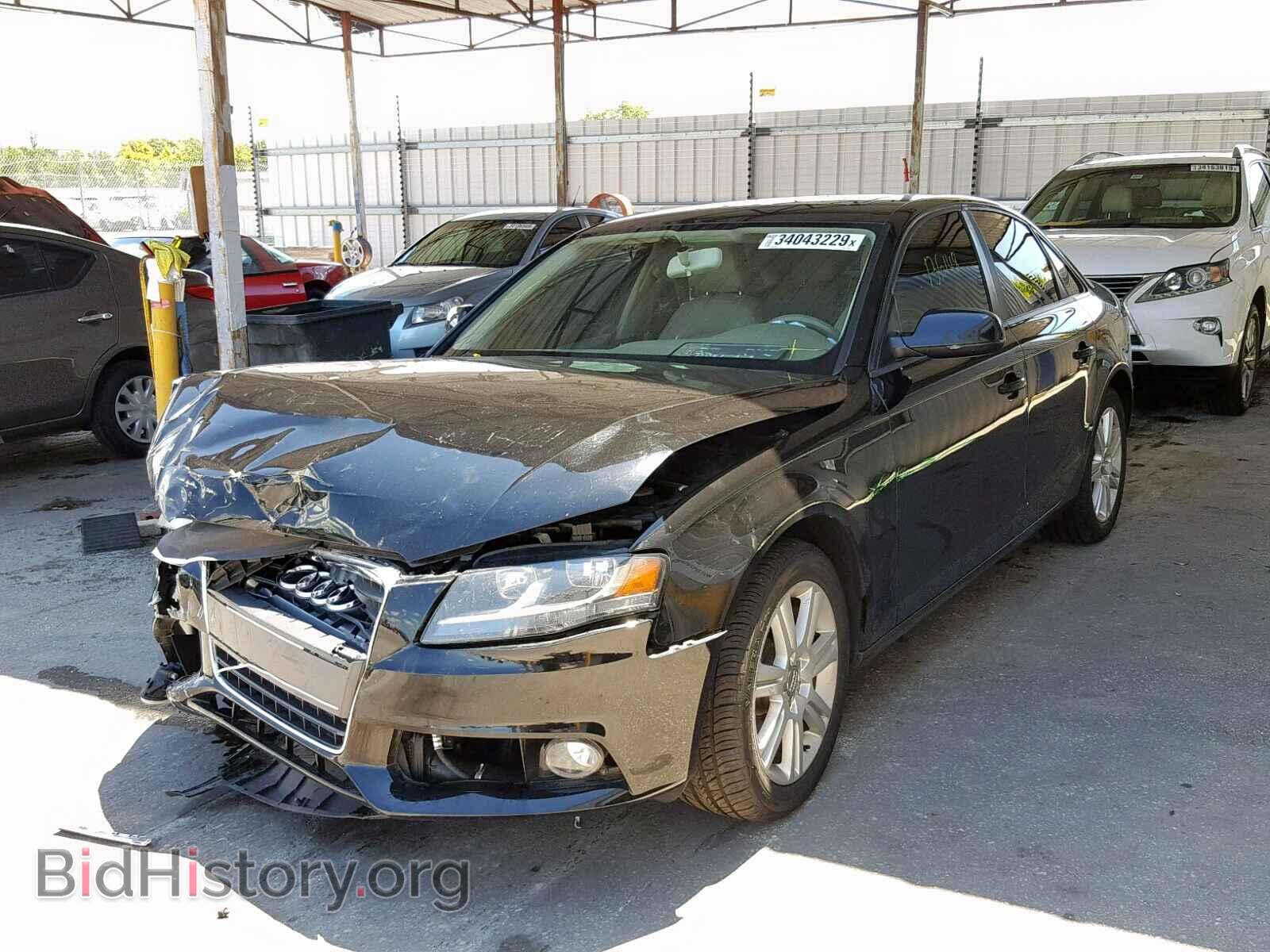 2011 AUDI A4 - VIN: WAUAFAFL9BN054202 - Фото 2