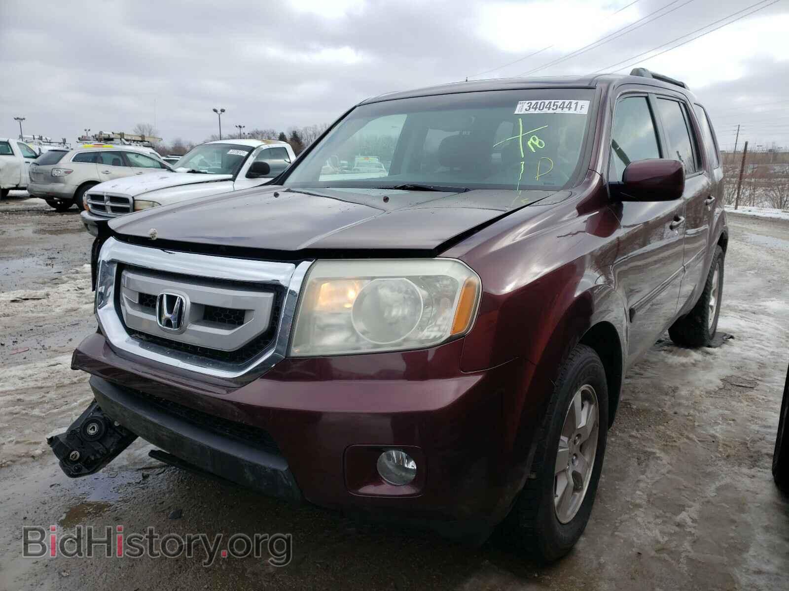 2009 HONDA PILOT - VIN: 5FNYF48569B005503 - Фото 2