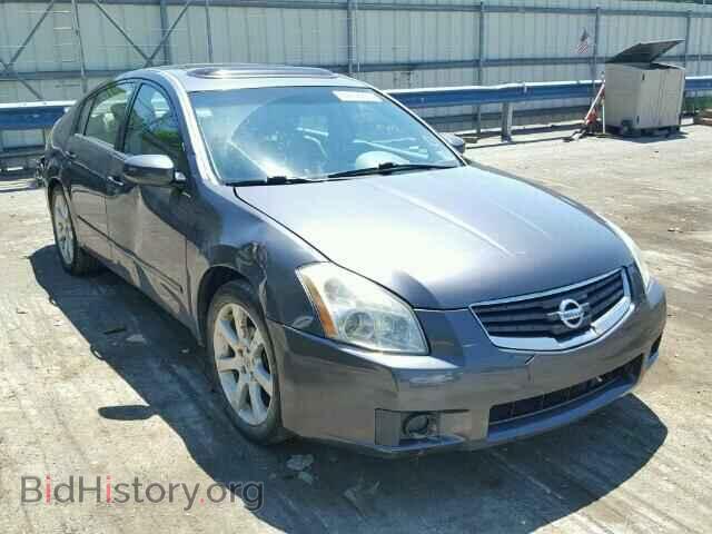 Photo 1N4BA41E78C836976 - NISSAN MAXIMA 2008