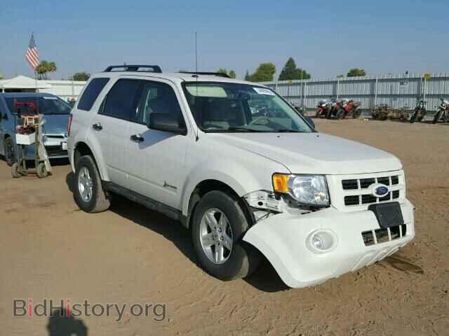 Фотография 1FMCU5K32BKB73110 - FORD ESCAPE 2011