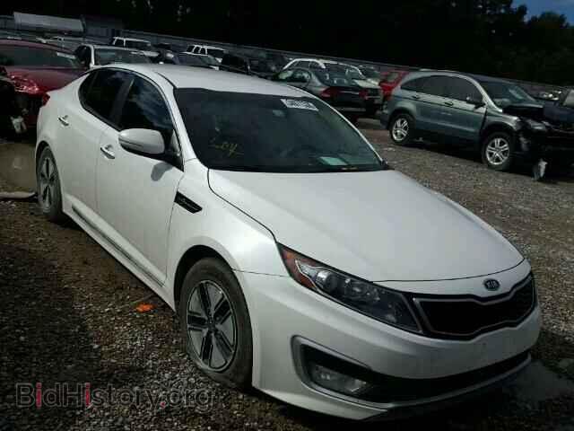 Фотография KNAGM4AD3C5015401 - KIA OPTIMA 2012