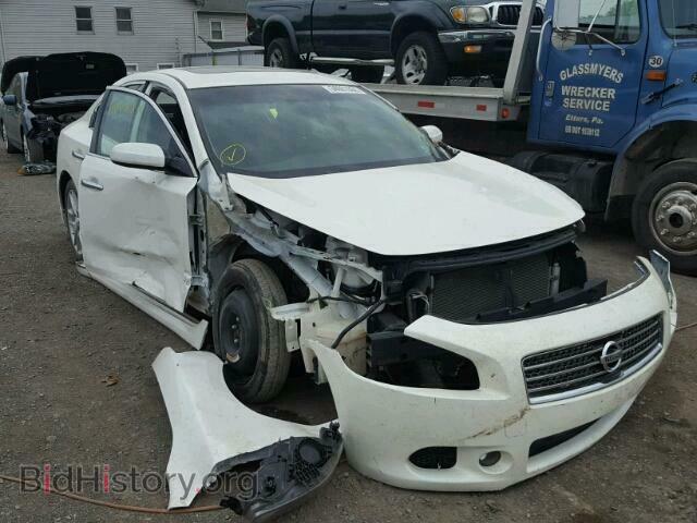 Photo 1N4AA5AP6BC856243 - NISSAN MAXIMA S 2011