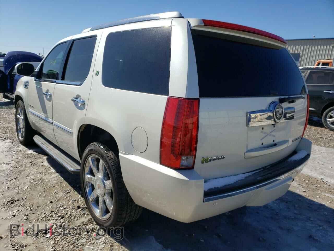 2010 CADILLAC ESCALADE - VIN: 1GYUCEEJ7AR210593 - Фото 3