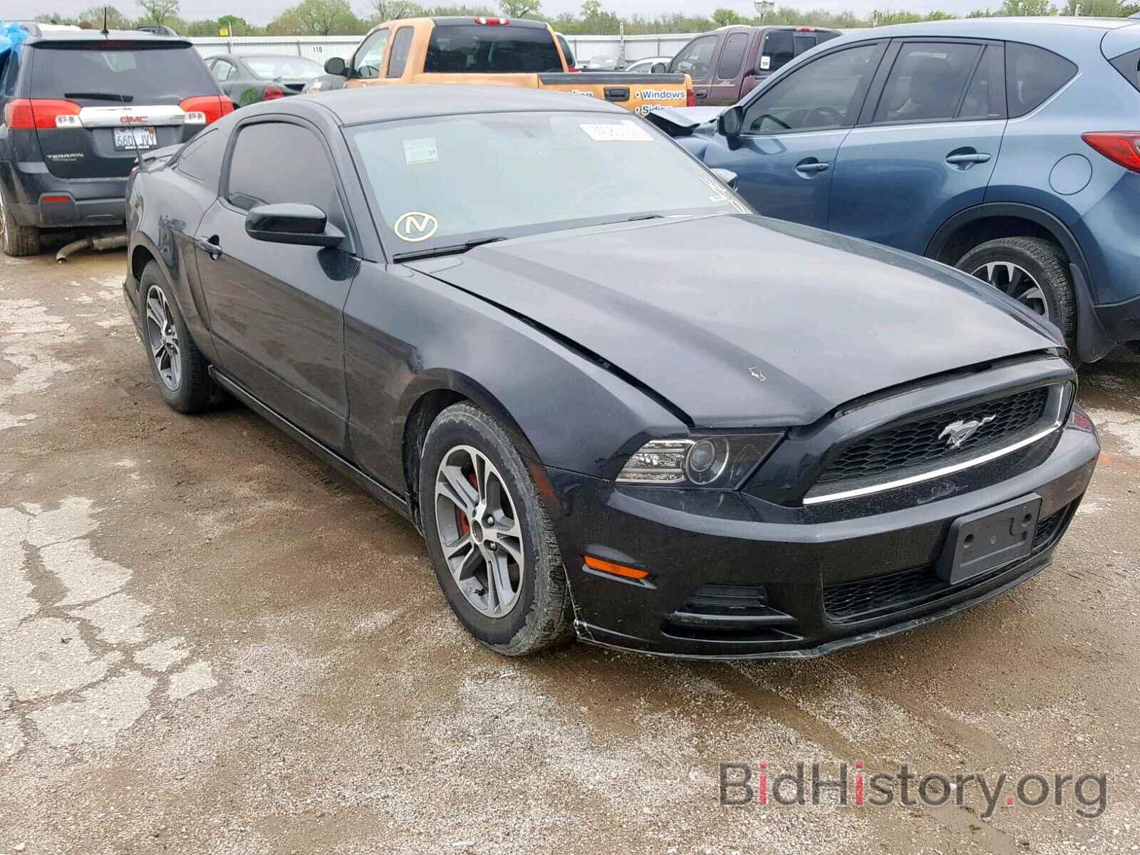 Photo 1ZVBP8AM3D5276487 - FORD MUSTANG 2013