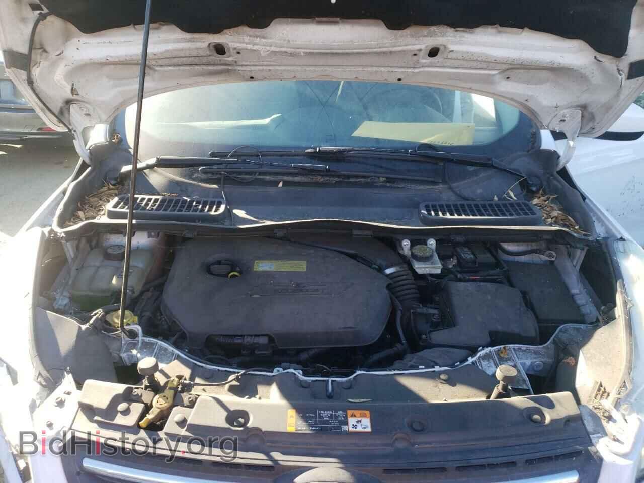 2013 FORD ESCAPE - VIN: 1FMCU0GX3DUD18242 - Фото 7