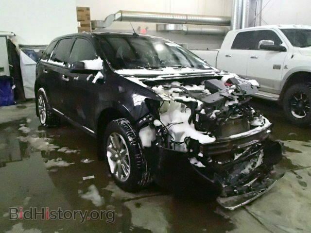 Фотография 2FMDK4JC5BBB19428 - FORD EDGE 2011