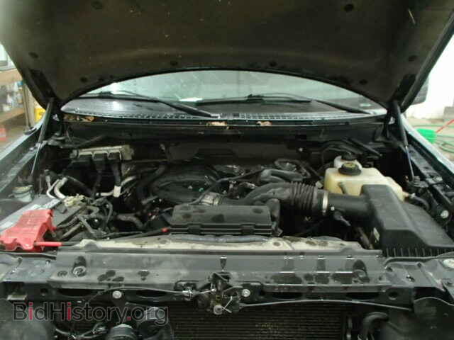 2013 FORD F150 - VIN: 1FTEX1EM0DFA93382 - Фото 7