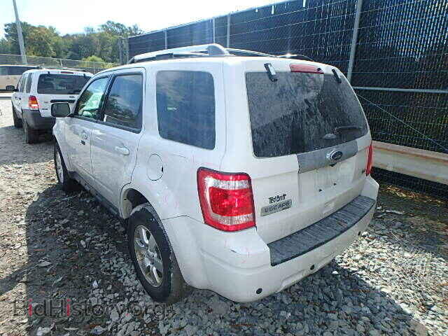 2011 FORD ESCAPE - VIN: 1FMCU0EG8BKC70538 - Фото 3