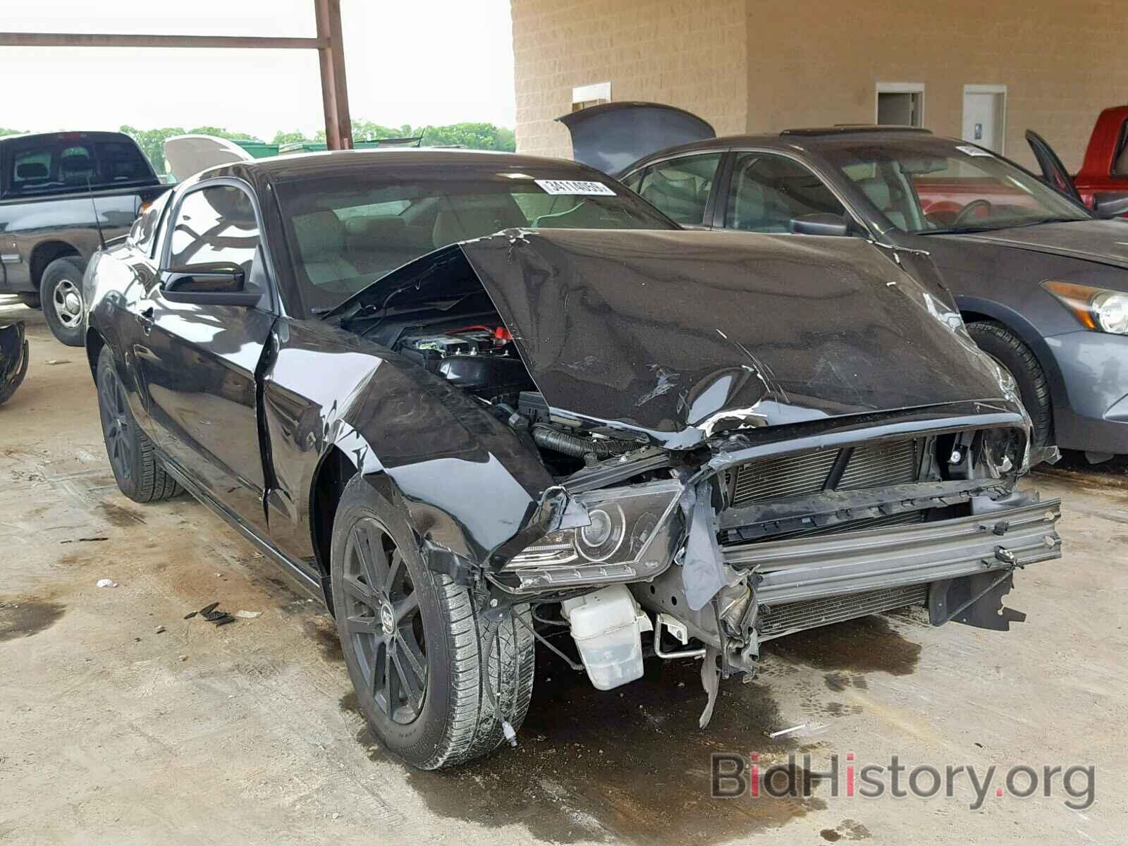 Photo 1ZVBP8AM0E5253329 - FORD MUSTANG 2014
