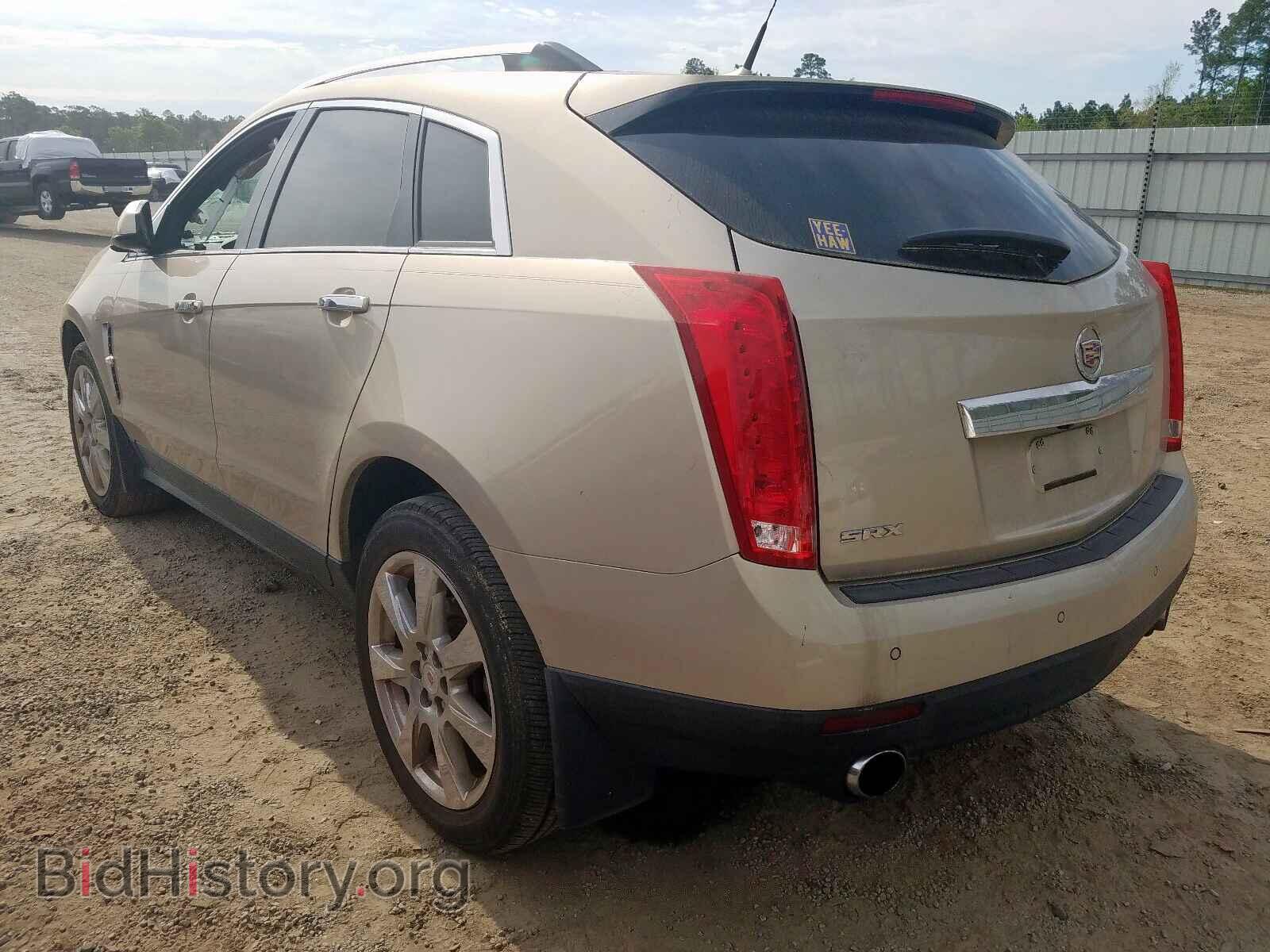 2011 CADILLAC SRX - VIN: 3GYFNCEY6BS563202 - Фото 3