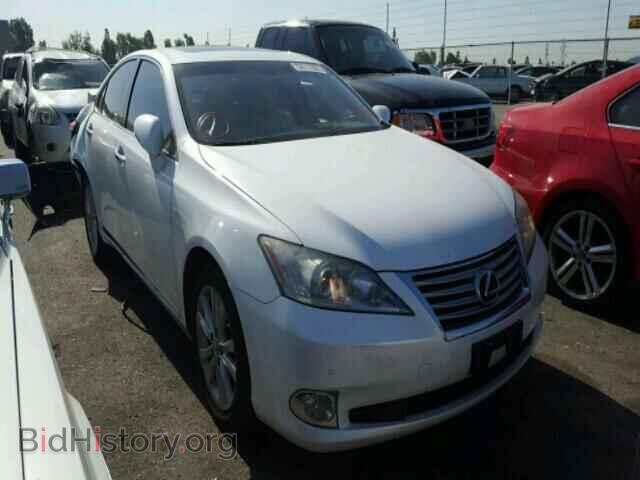 Photo JTHBK1EG6A2398155 - LEXUS ES350 2010