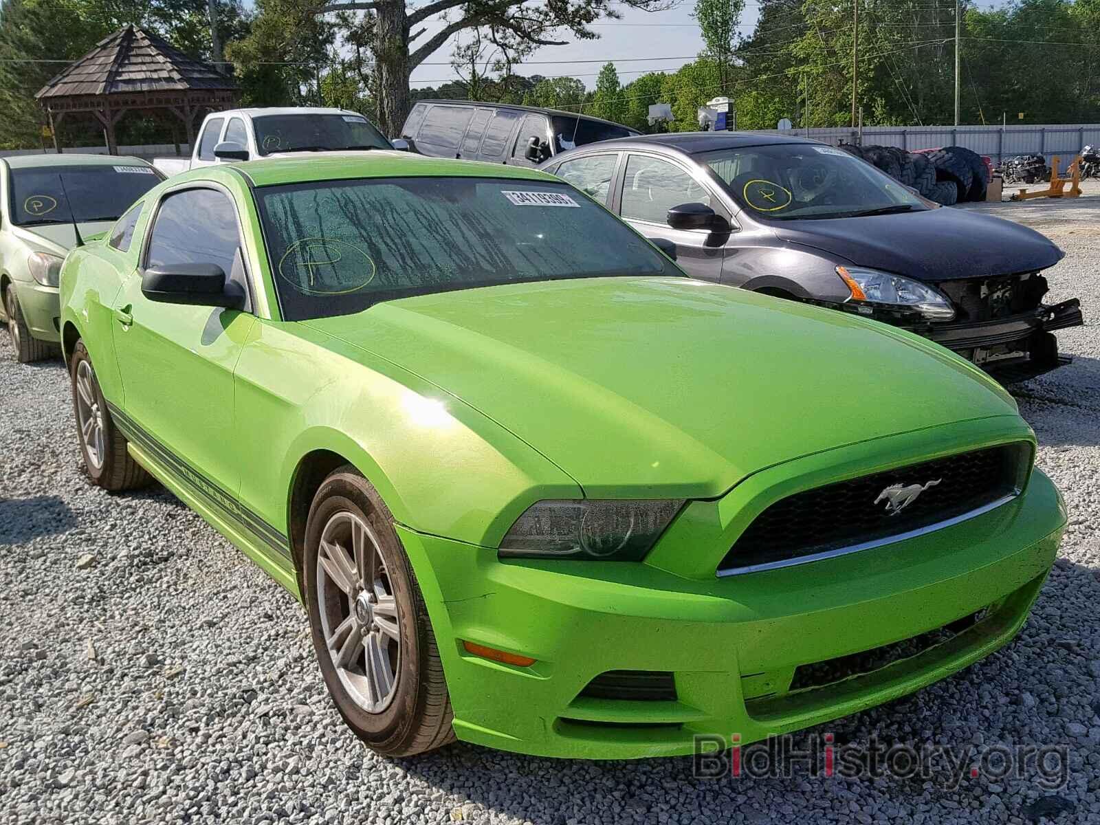 Photo 1ZVBP8AM6D5250806 - FORD MUSTANG 2013