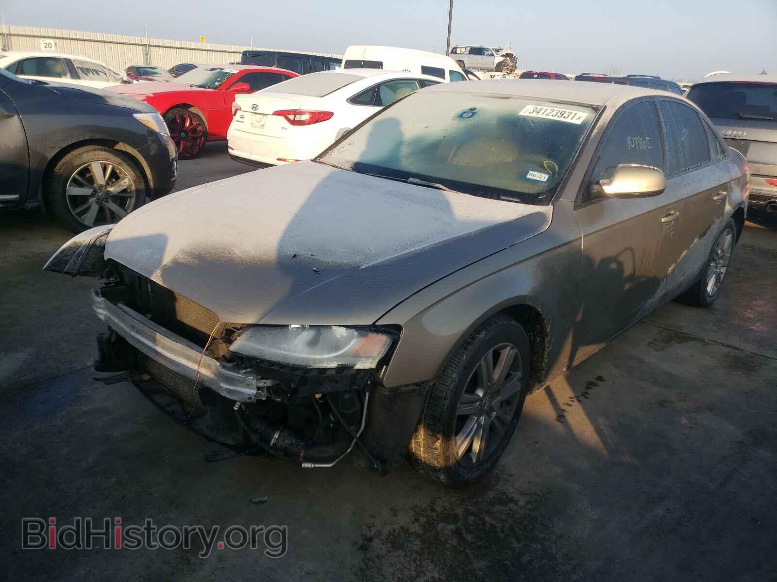 2010 AUDI A4 - VIN: WAUAFAFL1AN033228 - Фото 2