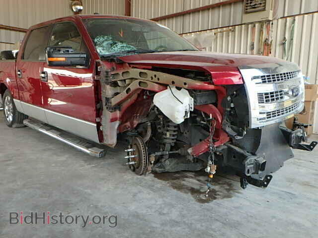 2013 FORD F150 - VIN: 1FTFW1CF6DKF52708 - Фото 10
