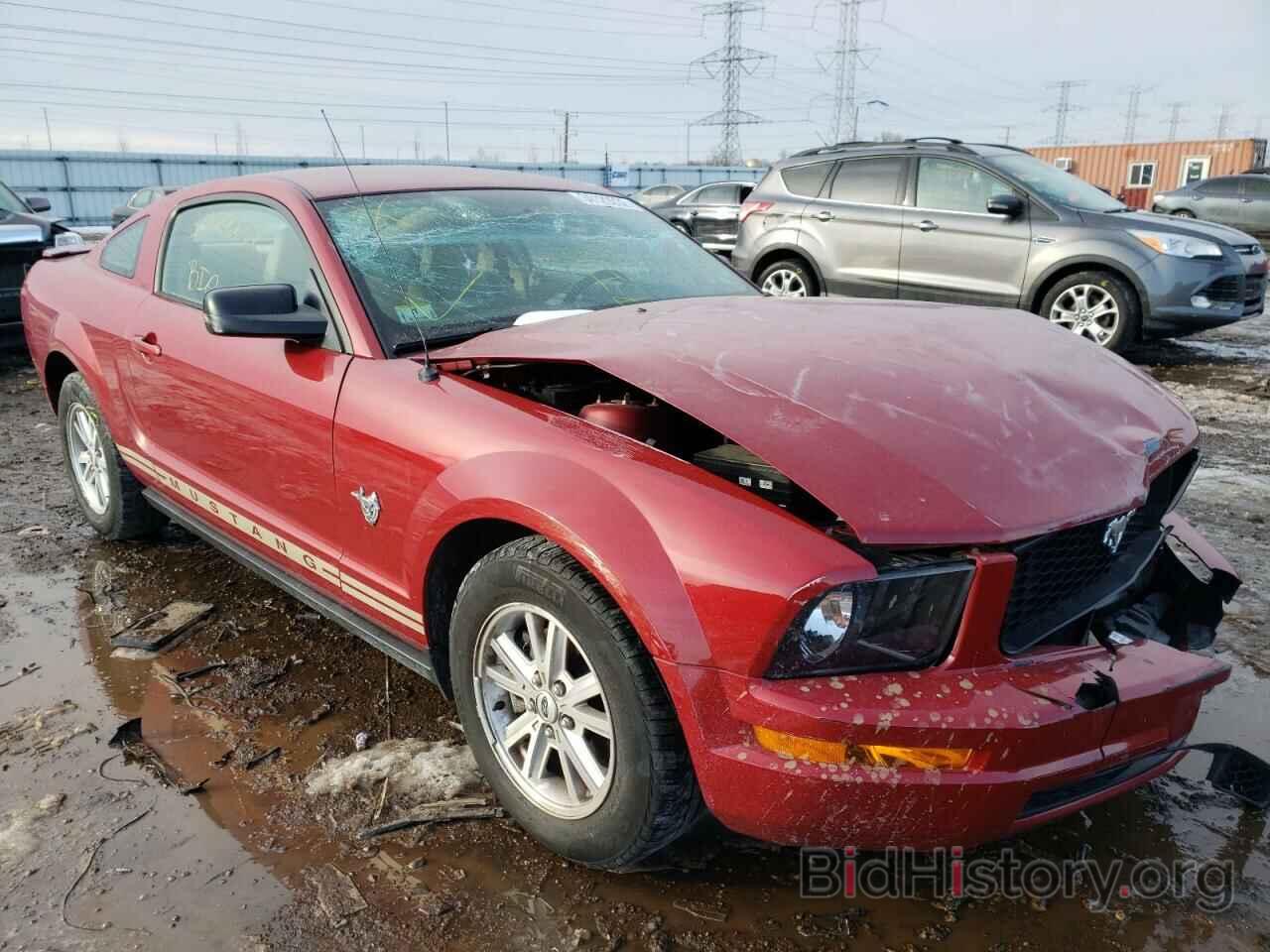 Photo 1ZVHT80N495118215 - FORD MUSTANG 2009
