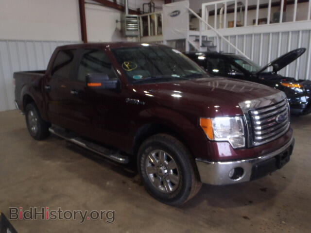 Photo 1FTEW1C80AFB29267 - FORD F150 2010
