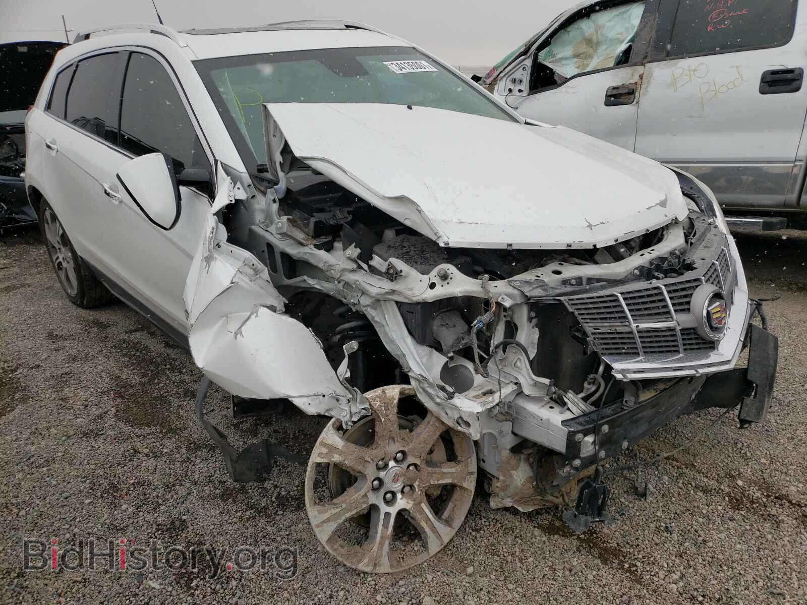 Photo 3GYFNCE3XCS604954 - CADILLAC SRX 2012