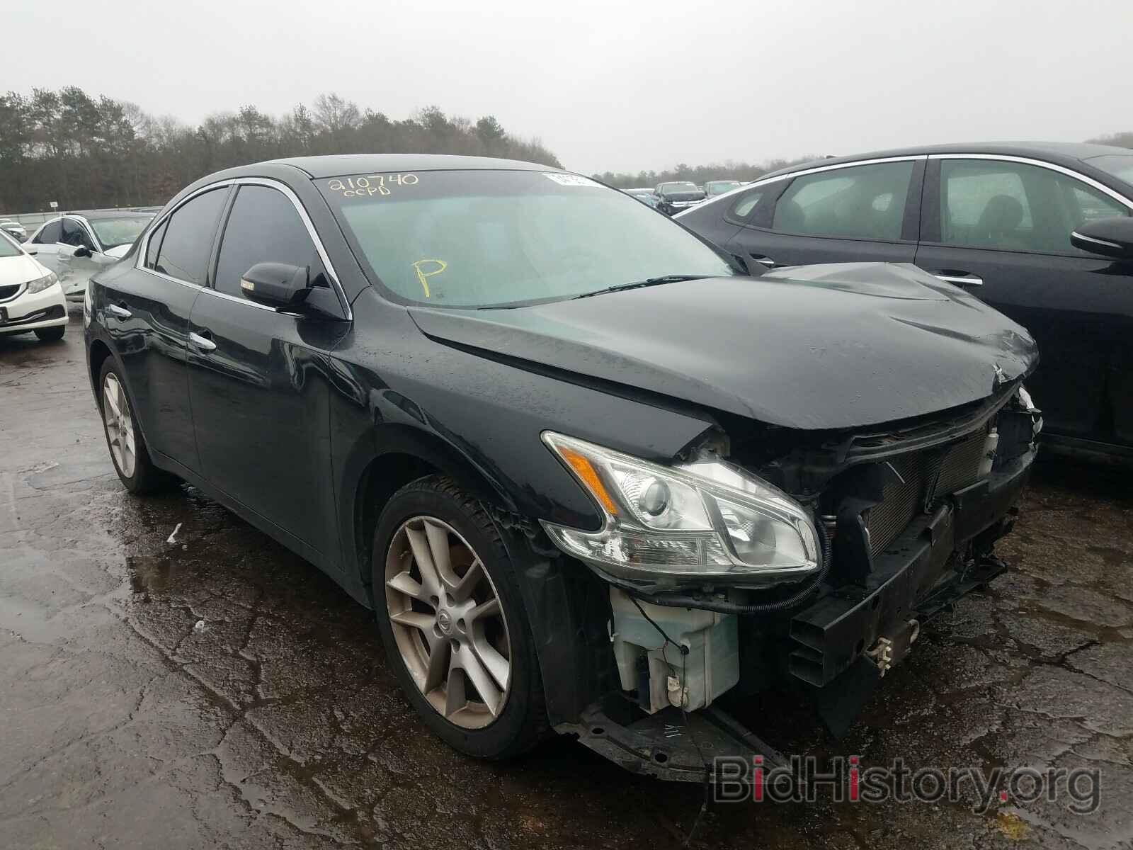 Фотография 1N4AA5AP5BC869601 - NISSAN MAXIMA 2011