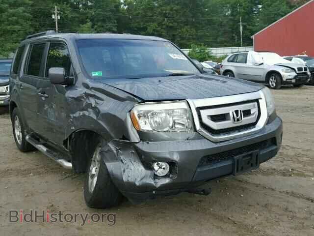Фотография 5FNYF4H44BB041364 - HONDA PILOT 2011