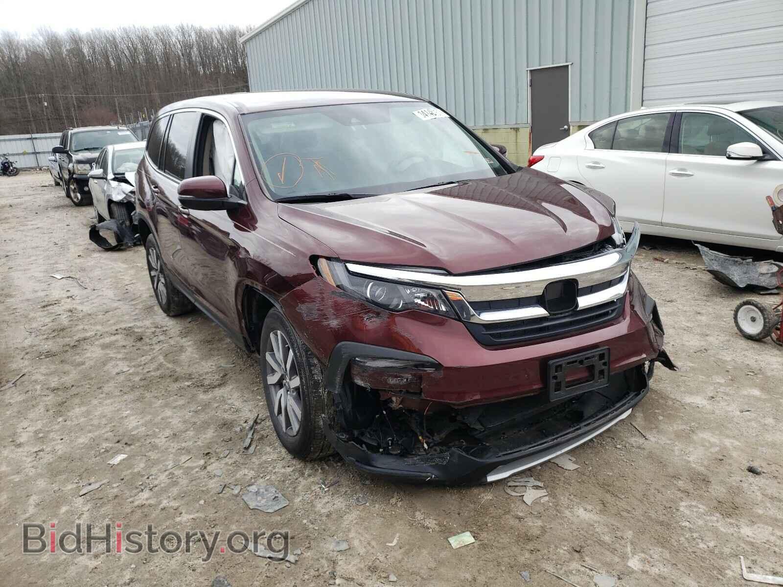 Фотография 5FNYF5H32KB030165 - HONDA PILOT 2019