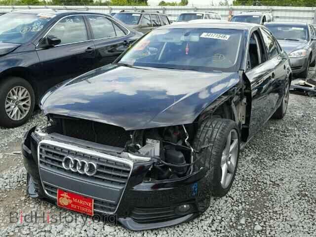 2010 AUDI A4 - VIN: WAUEFAFL3AN071013 - Фото 2