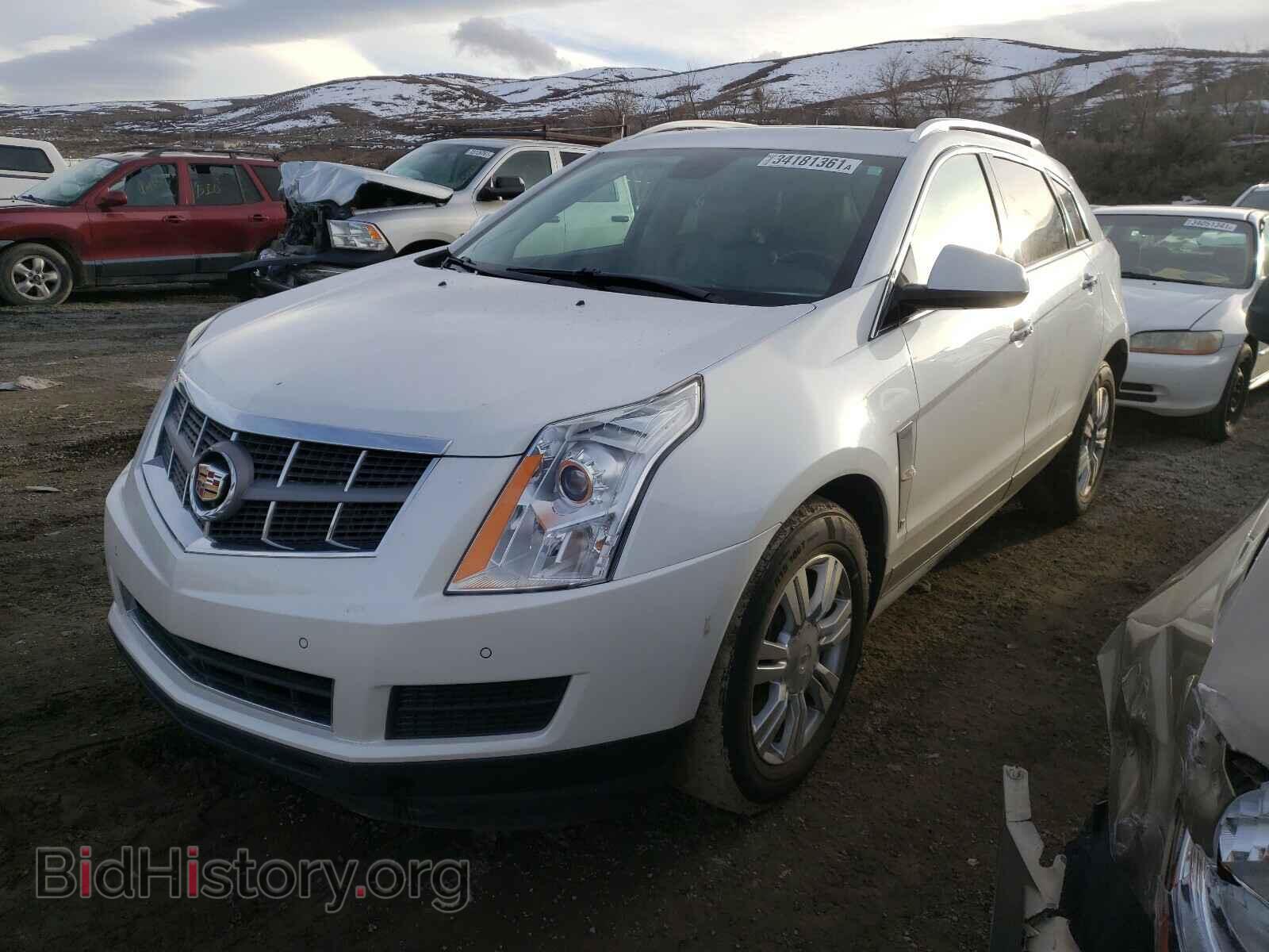 2011 CADILLAC SRX - VIN: 3GYFNDEY3BS554821 - Photo 2