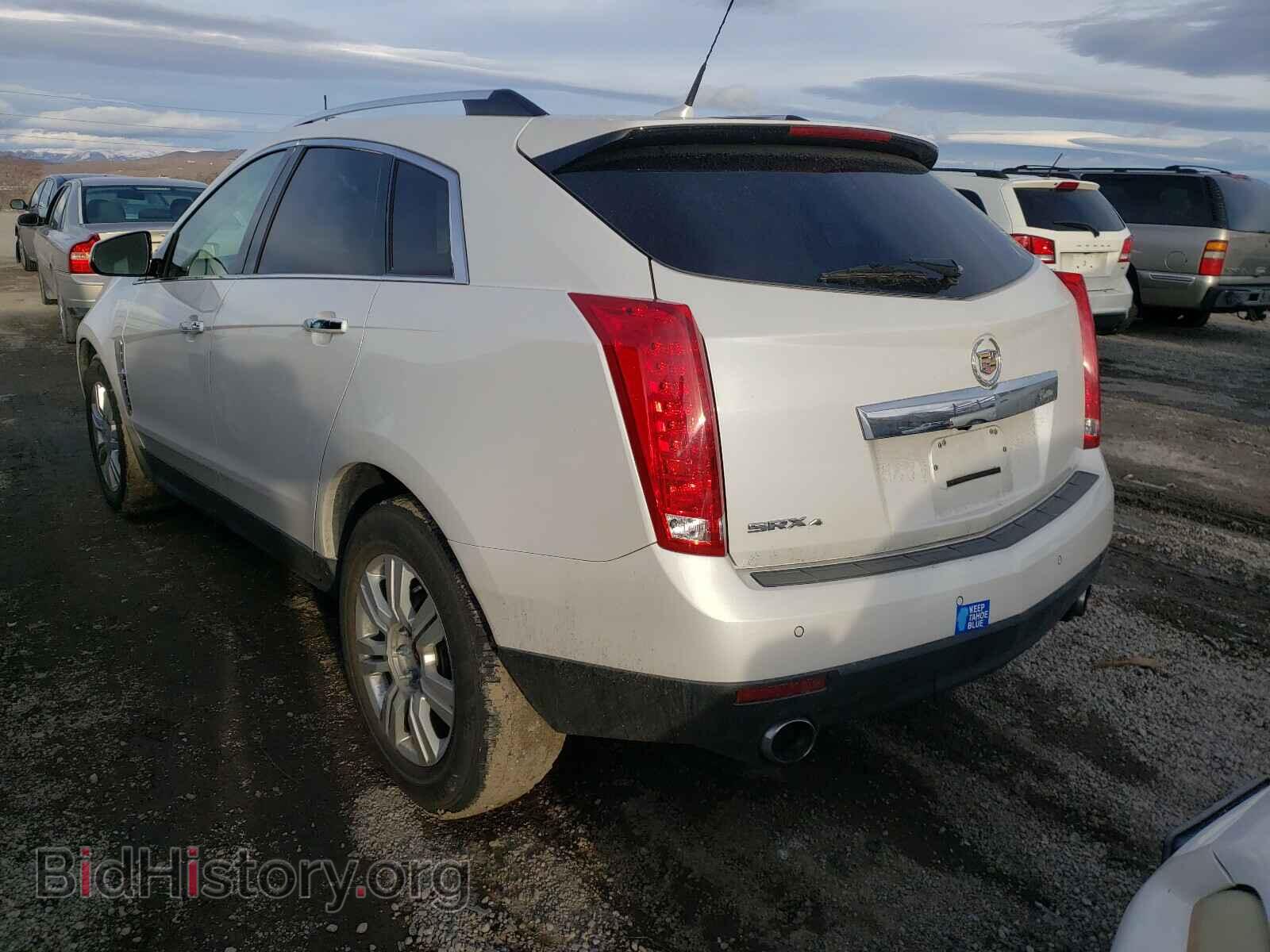 2011 CADILLAC SRX - VIN: 3GYFNDEY3BS554821 - Photo 3