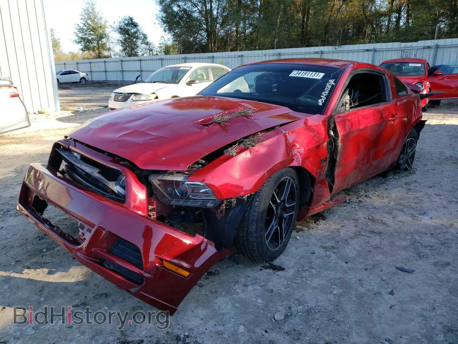 2013 FORD MUSTANG - VIN: 1ZVBP8CF4D5277646 - Фото 2